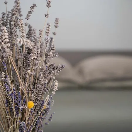 Couette-café G&b Castelnuovo Di Porto